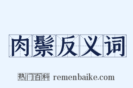 肉鬃反义词是什么意思的图片